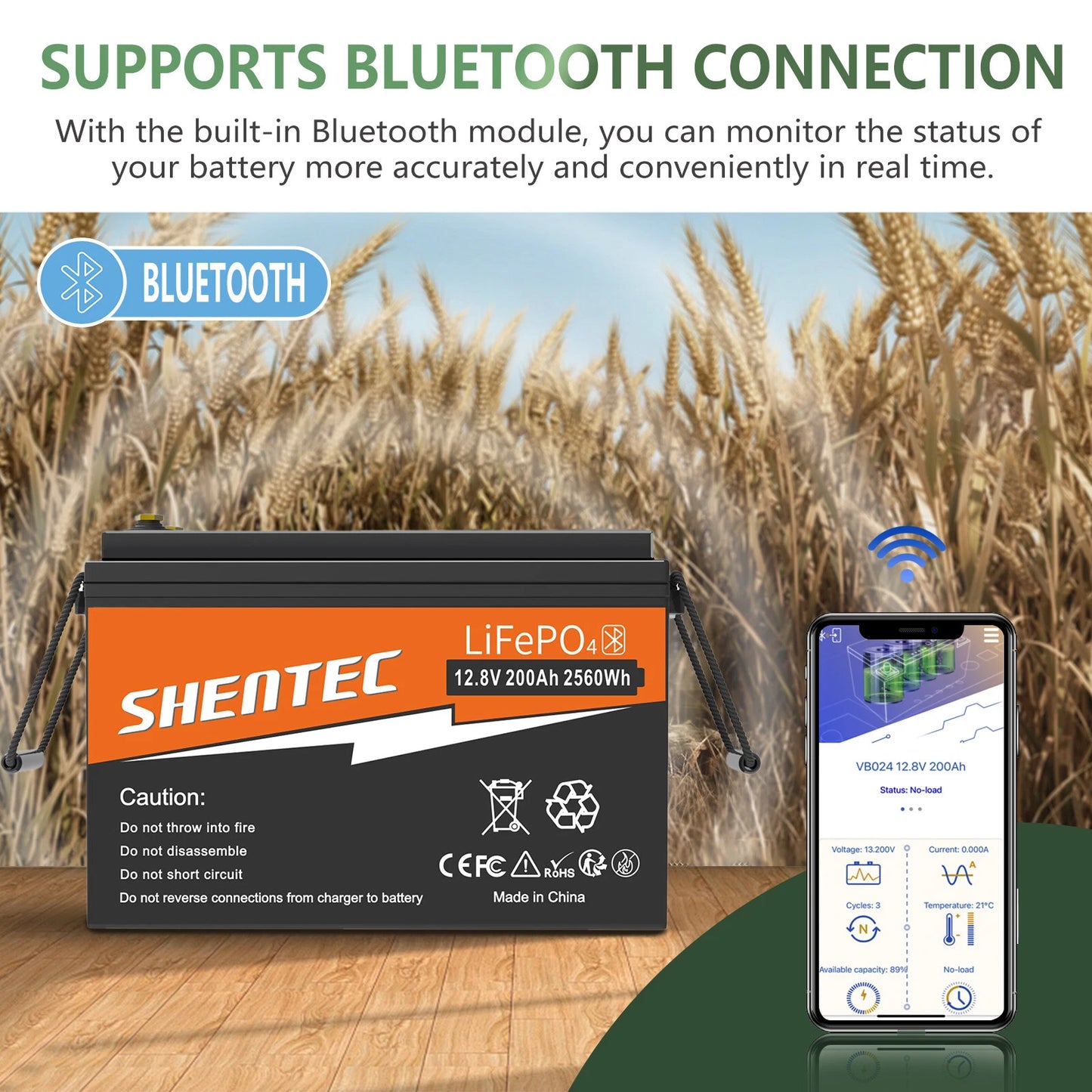 SHENTEC 12V 200Ah Lithium LiFePO4 Batterie für Boot & Wohnmobil 6000+ Zyklen