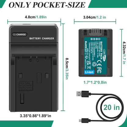2x NP-FP50,NP-FP51 7.4V Akku+Ladegerät für Sony NP-FH40 NP-FH50 NP-FH60 NP-FH70