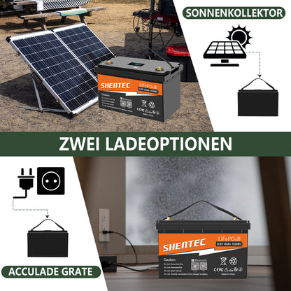 SHENTEC 12/24V 100/150/200/300Ah LiFePO4-Batterie mit BMS für Solarboot, autarkes Wohnmobil