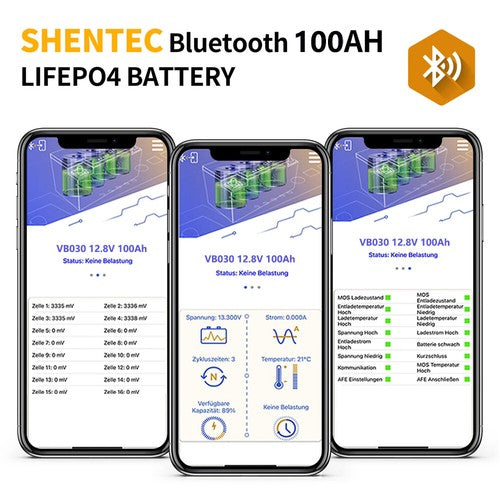 SHENTEC 12/24V 100/150/200/300Ah LiFePO4-Batterie mit BMS für Solarboot, autarkes Wohnmobil
