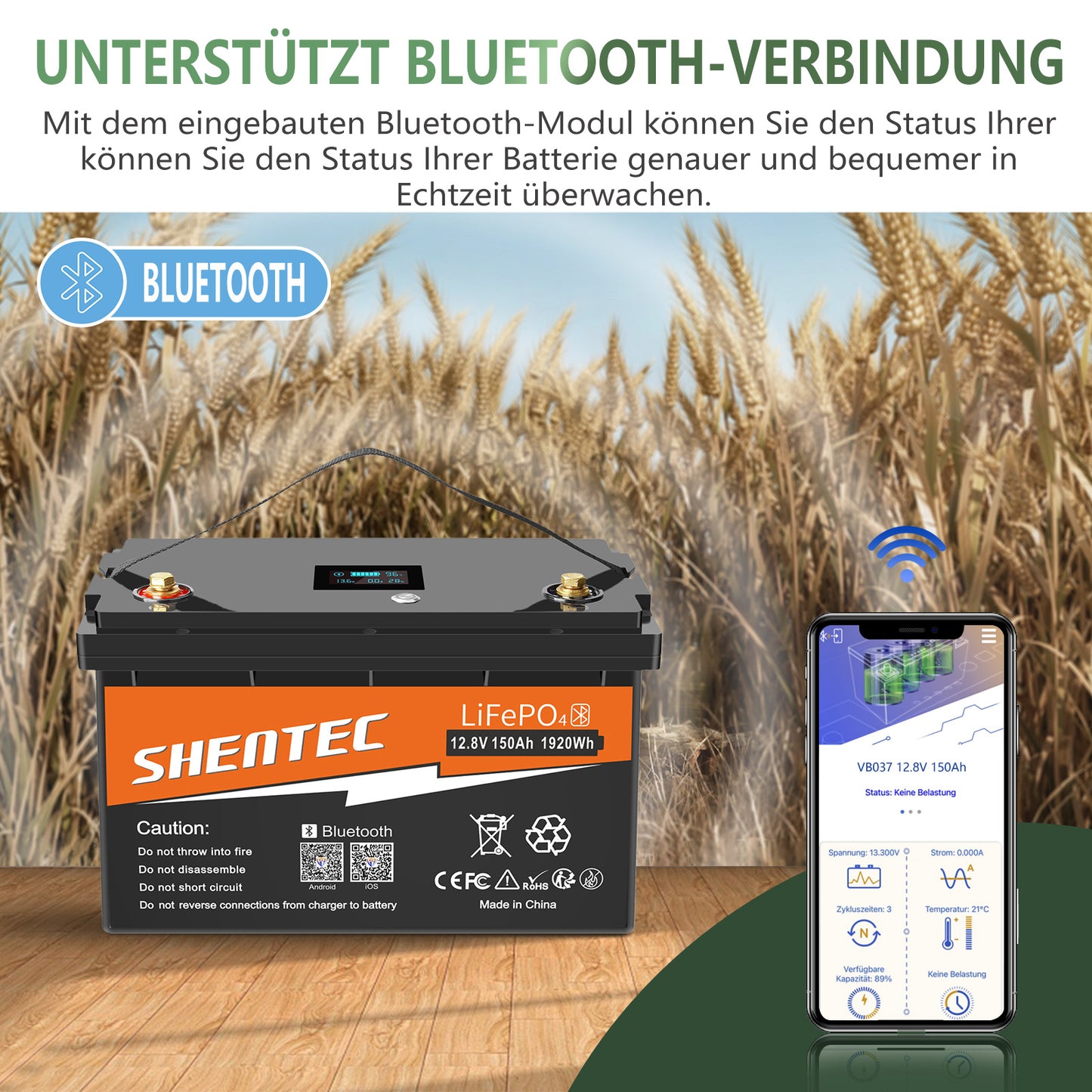 SHENTEC 12/24V 100/150/200/300Ah LiFePO4-Batterie mit BMS für Solarboot, autarkes Wohnmobil
